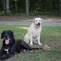Emma and Tucker