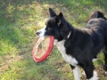 Jake Frisbee_resize