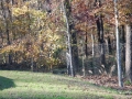 One of Our Seven Play Yards