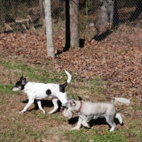 DSC_0313_resize