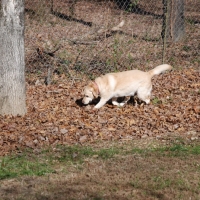 DSC_0331_resize