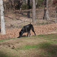 DSC_0333_resize